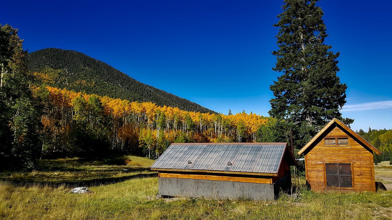 cabin home rustic